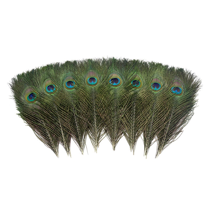 Ballinger 12 PCS Real Natural Peacock Eye Feathers 10-12 inch for DIY Craft, Wedding and Holiday Decorations - Image 2